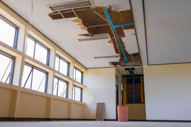  Dennis Port, MA Water damage restoration Pros