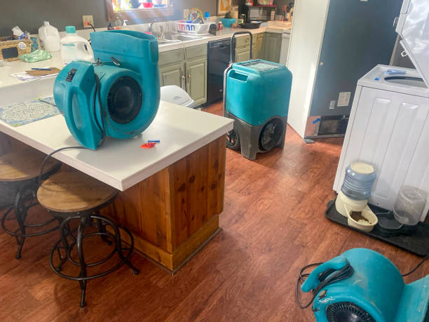 Best Water damage cleanup near me  in Dennis Port, MA