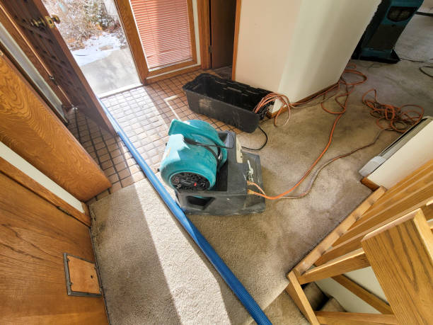 Best Basement water damage restoration  in Dennis Port, MA