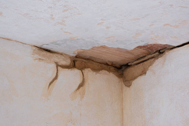 Best Professional water damage repair  in Dennis Port, MA