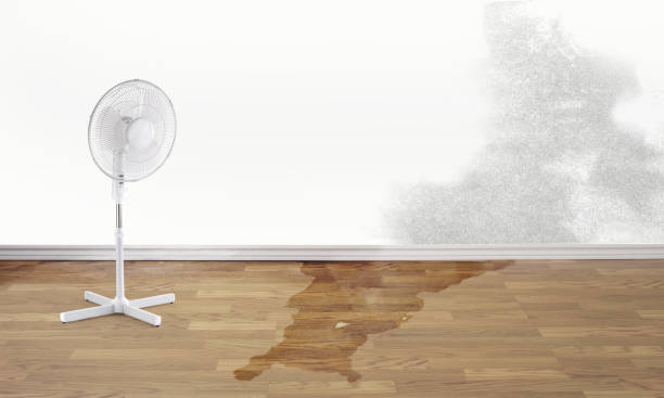 Best Fire Damage Restoration  in Dennis Port, MA