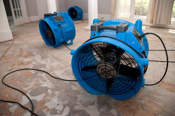 Best Ceiling water damage repair  in Dennis Port, MA